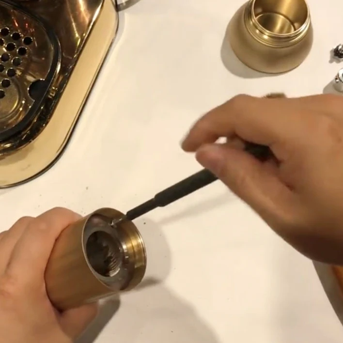 Herausdrehen der Schrauben Apollo