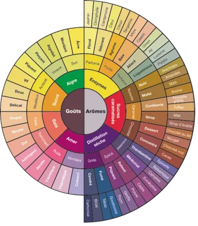 Rösten mit einem GENECAFE CBR 101