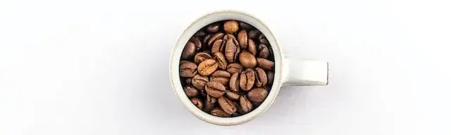 Spezialitätenkaffee: Eine Reise ins Herz der Exzellenz