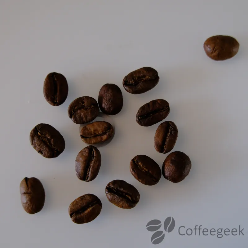 Geröstete Guayaba Nature Filterröstung-Kaffeebohnen zeigen den Röstgrad