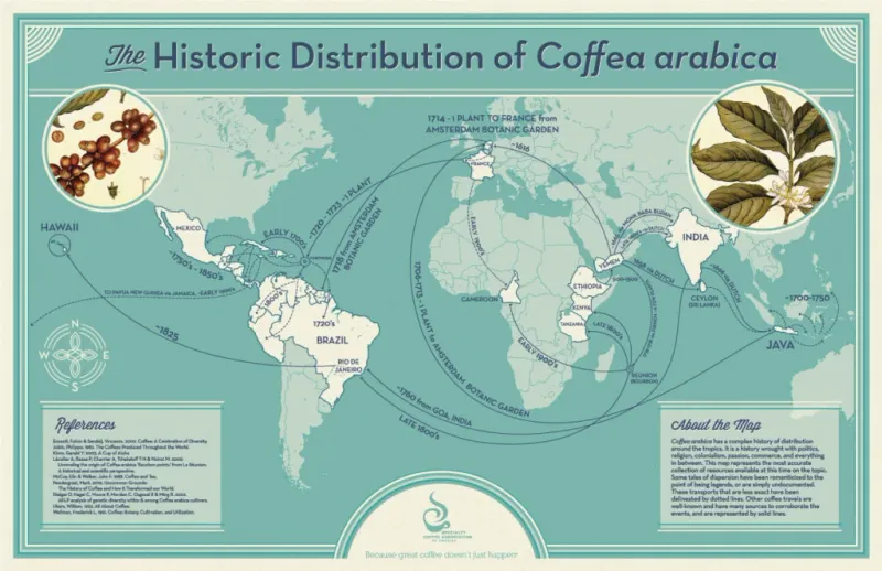 Map of Arabica coffee propagation