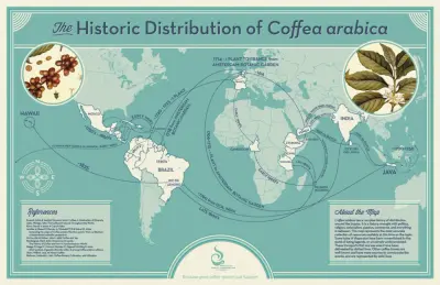 History: the spread of coffee around the world