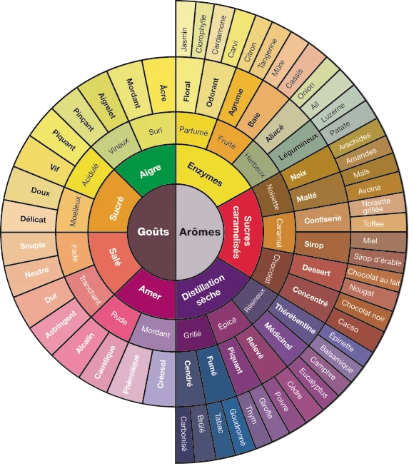 Coffee aroma wheel