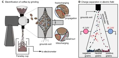 Could the RDT Technique Damage My Coffee Grinder?