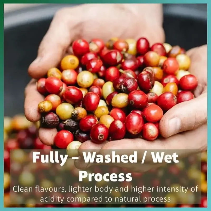 Fermentation - detail