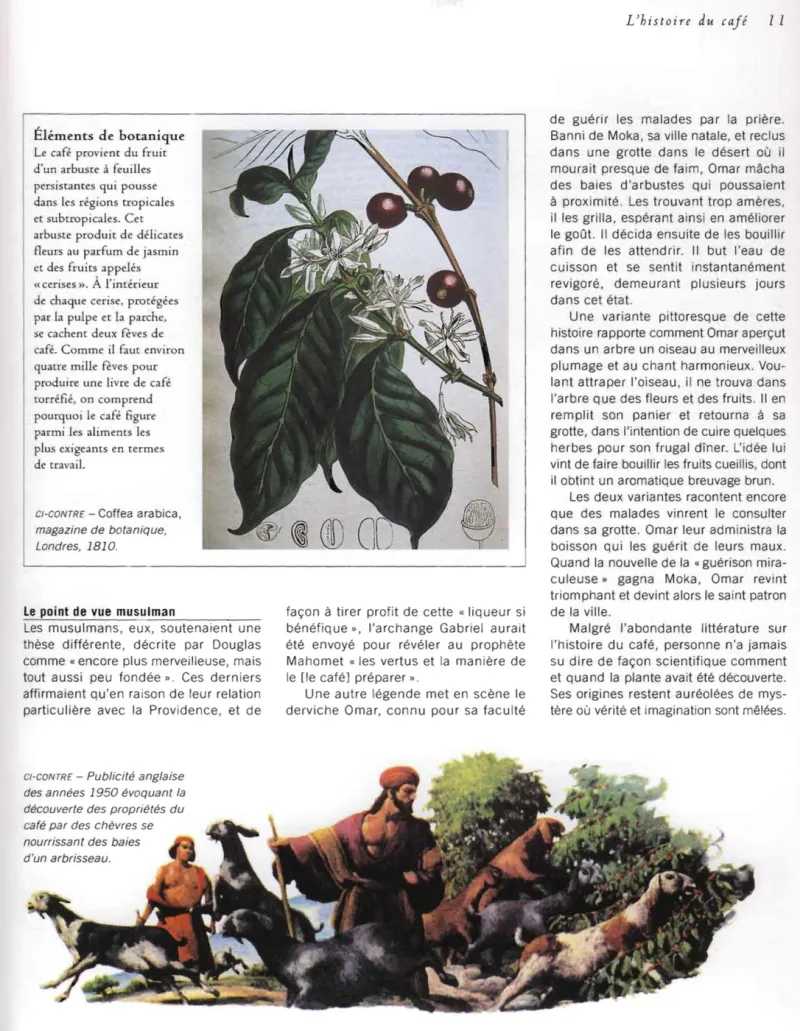 Historia y comercio del café