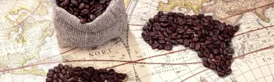 Historia: la propagación del café en el mundo