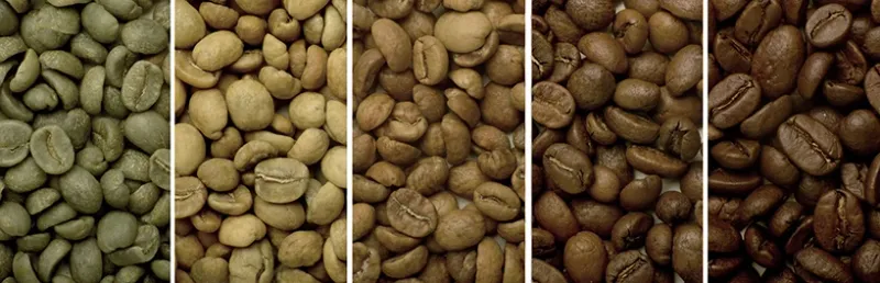 Granos de café recién tostados