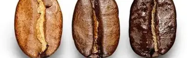 Rouge Soleil: Un universo dedicado al café