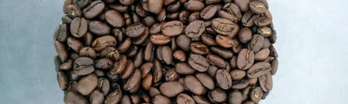 Guide des appellations du café