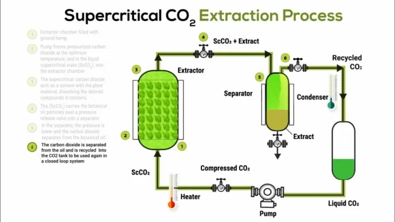 Schéma extraction CO2