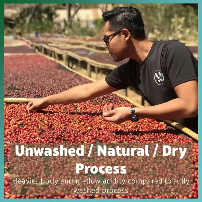 Honey process - étapes