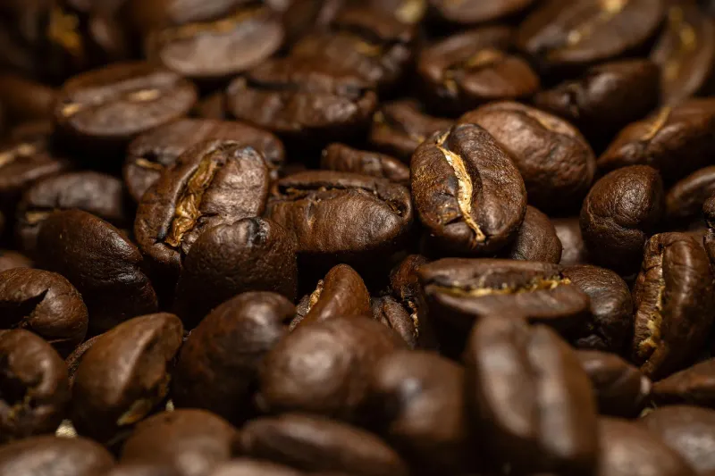 Grains de café torréfiés foncés avec des huiles en surface