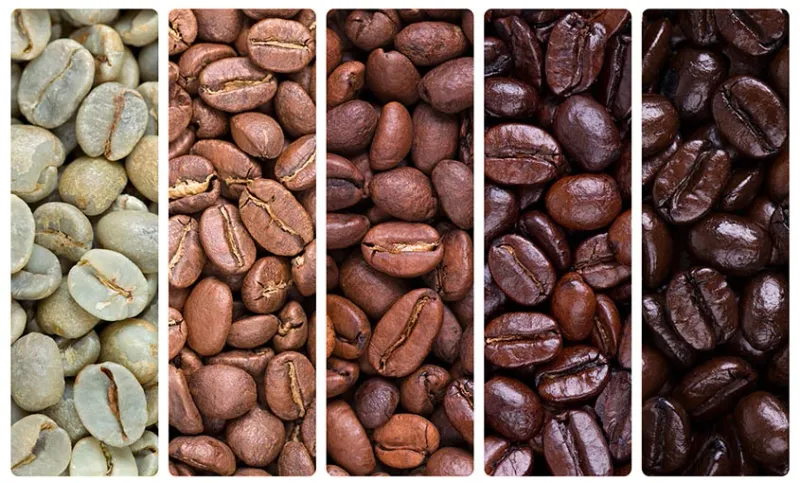 Coffee beans at different roasting stages, from green to brown