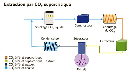 Simplified diagram of CO₂ extraction