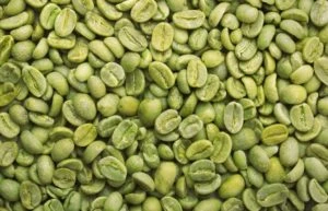 Green coffee bean