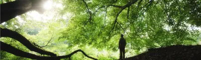 Coffee Ecology: Opening of an Article Series