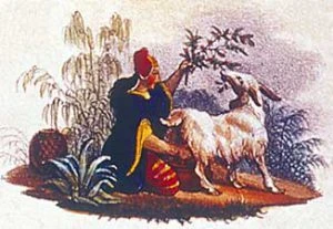 Legendary origin of coffee