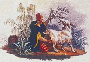 Legendary origin of coffee