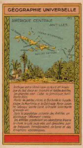 Plantation de café au Mexique