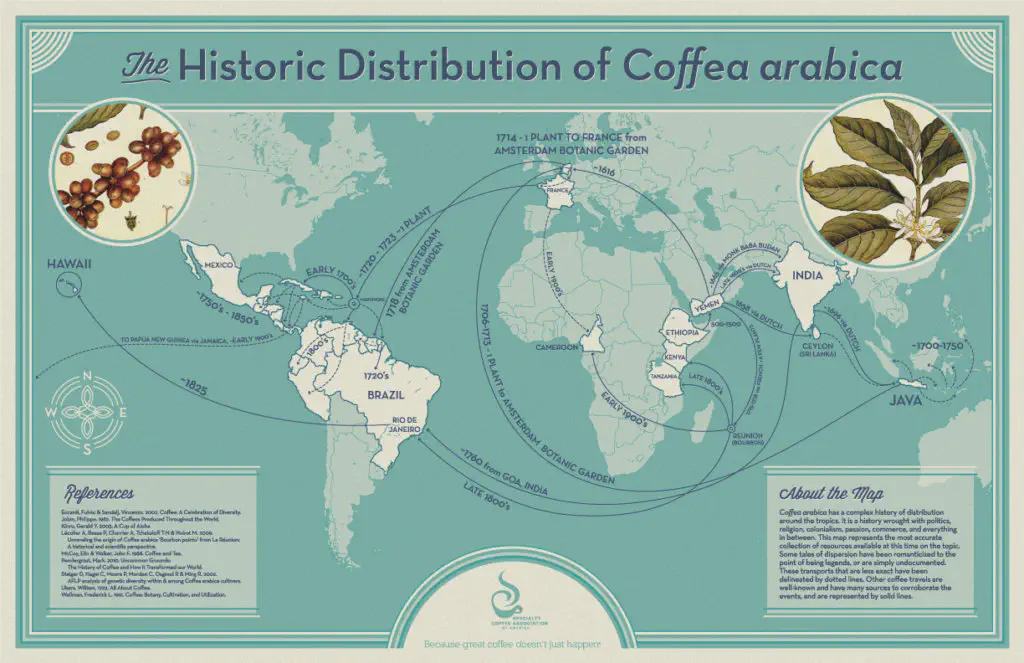 Carte de la propagation du café Arabica