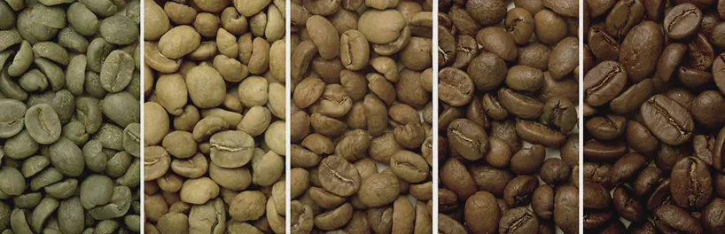 Freshly roasted coffee beans
