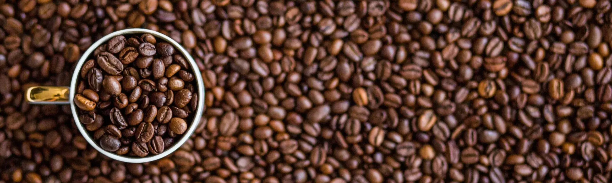 Featured image for Roasting with a GENECAFE CBR 101