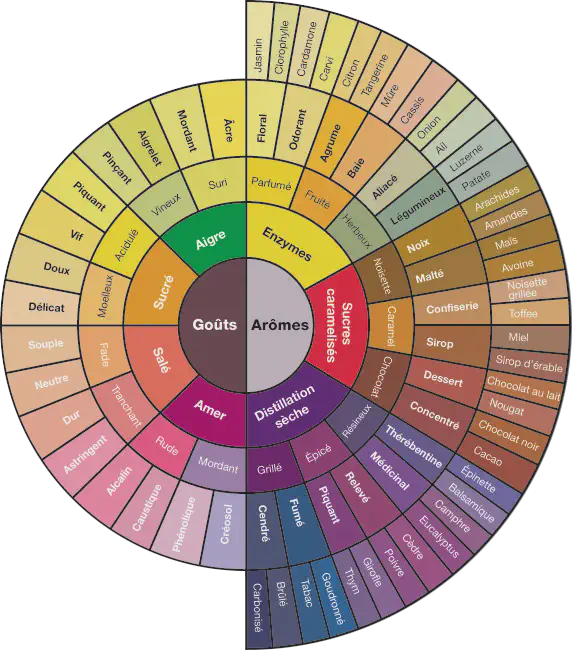 Coffee aroma wheel