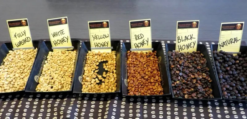 Coffee processing: key phases