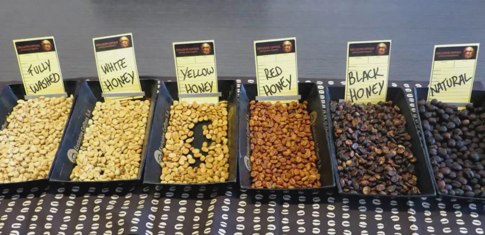 Coffee processing: key phases