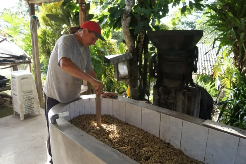 Fermentation in water (step 2)