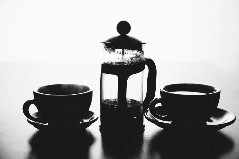 Schwarz-Weiß-Foto einer French Press mit Metallsieb-Stempel zwischen zwei Kaffeetassen auf Untertassen