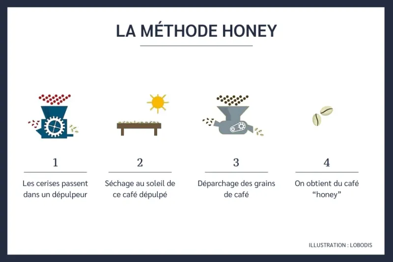 Karamelisatie van het mucilage (honey)