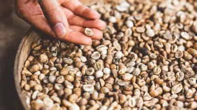 Op ontdekking naar nieuwe koffiebranderijen — Januari 2024